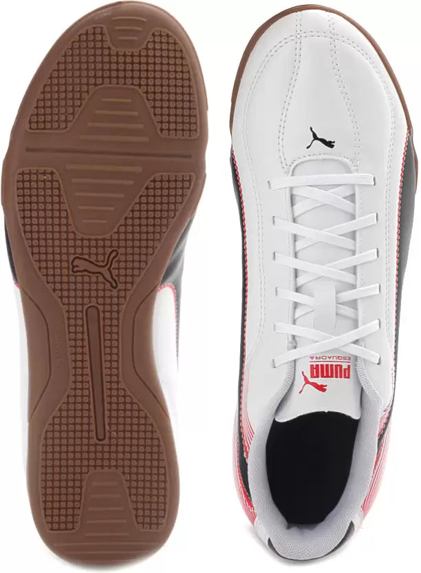 PUMA Esquadra IT Indoor Soccer Shoes For Men (White, Black) 103128 02